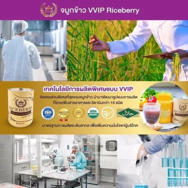 vvip 2019 จำกัด